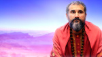 Satsangs Swami Vishnudevananda Giri