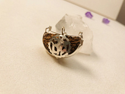 Кулон одноликая рудракша в серебре